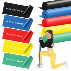 Набор ленточных эспандеров для спорта и реабилитации 4FIZJO Flat Band 200 х 15 см 1-15 кг 5 шт Mix (P-5907222931127)