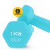 Гантели виниловые 4FIZJO Classic 2 x 1 кг (P-5907739311955)