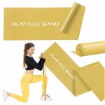 Лента-эспандер для спорта и реабилитации 4FIZJO Flat Band 200 х 15 см 25-35 кг Gold (P-5907739310453)