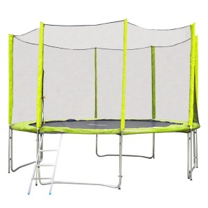 Батут с защитной сеткой и стремянкой inSPORTline Froggy PRO 366cm