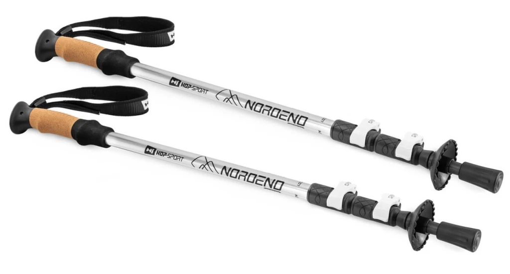 Трекинговые палки Hop-Sport Nordend Pro серебристые