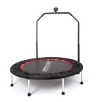 Батут с перилами inSPORTline PROFI Digital 100 cm