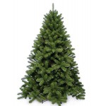 Ялина 185 см, Scandia 