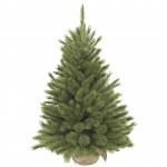 Сосна 90 см, Forest frosted Triumph Tree
