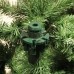 Ель 1,85 м. Hallarin зеленая с инеем Triumph Tree