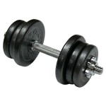 Гантель сталева Newt 15,5 кг