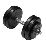 Гантель сталева Newt 21,5 кг