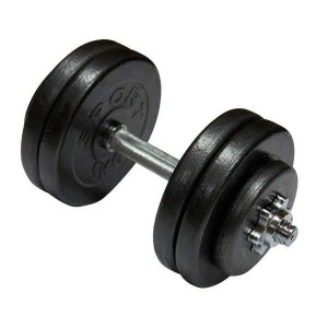 Гантель стальная Newt 21,5 кг
