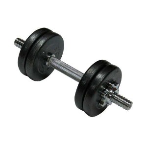 Гантель стальная Newt 10 кг Гантель стальная Newt 10 кг