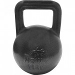 Гиря чавунна Newt 24 кг, NE-100-2400 