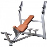 Скамья для жима под углом вверх NRG Line N204
